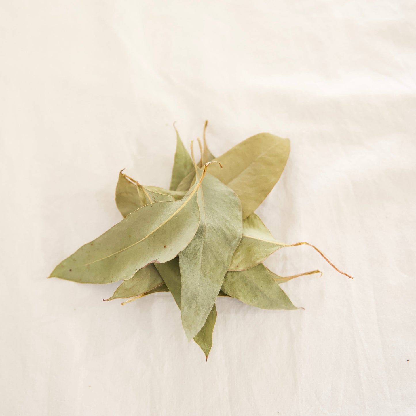 Eucalyptus - Strawberry - Dried Whole