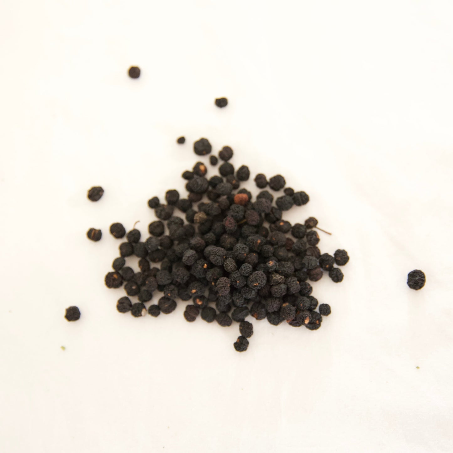 Tasmanian Mountain Pepperberries - Dried Whole